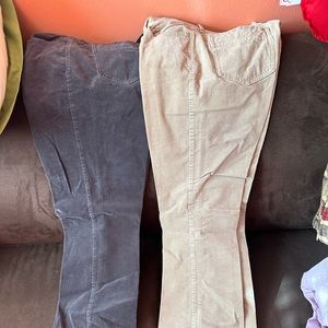 Old Navy Corduroy Pants **Bundle** (Unisex)